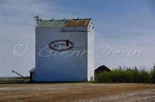 Summerberry
area farm
May 2007